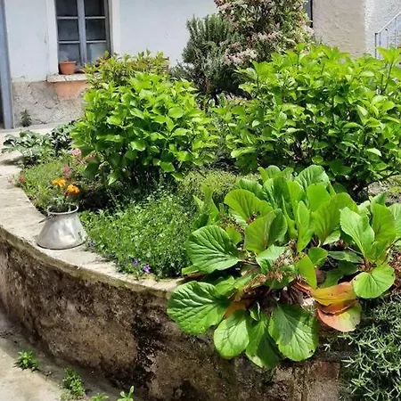 Apartment Ca' Da La Rosy Magreglio